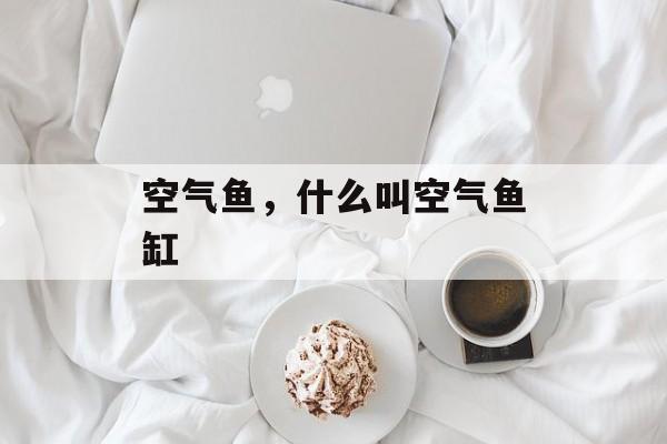 空气鱼，什么叫空气鱼缸-第1张图片-