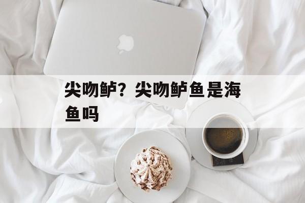 尖吻鲈？尖吻鲈鱼是海鱼吗-第1张图片-