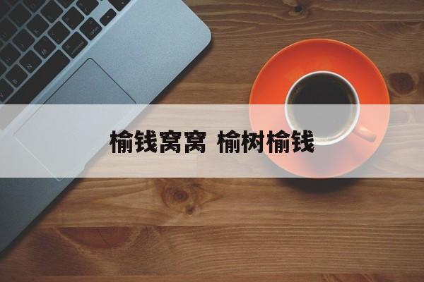 榆钱窝窝 榆树榆钱-第1张图片-