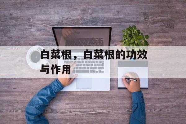 白菜根，白菜根的功效与作用-第1张图片-
