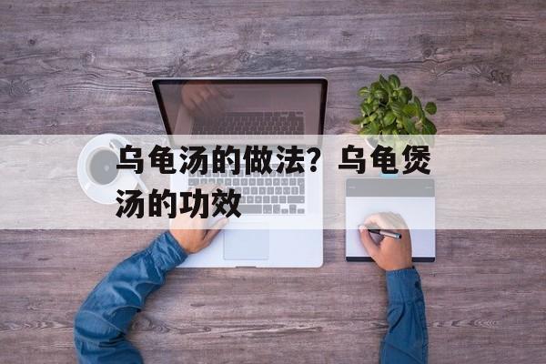 乌龟汤的做法？乌龟煲汤的功效-第1张图片-