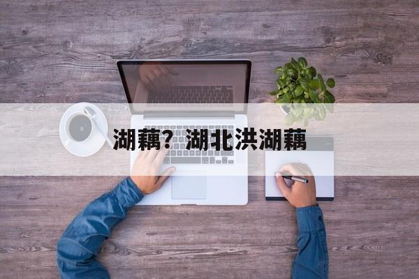湖藕？湖北洪湖藕-第1张图片-