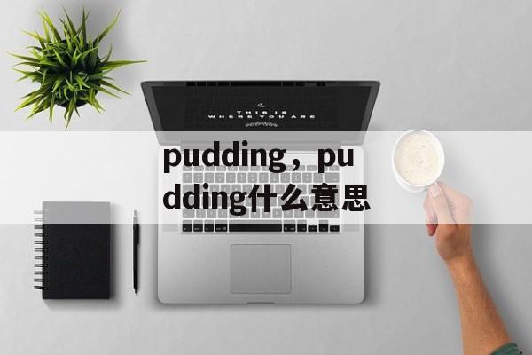 pudding，pudding什么意思-第1张图片-