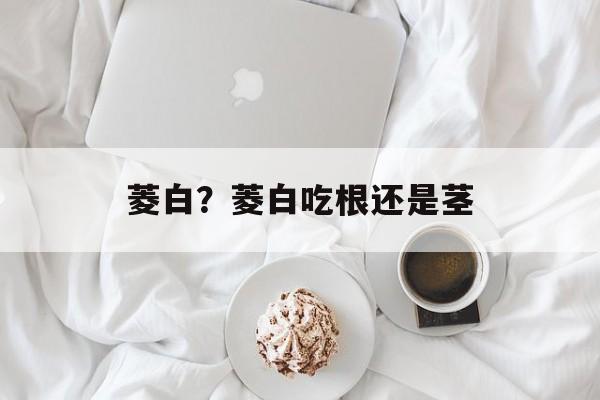 菱白？菱白吃根还是茎-第1张图片-