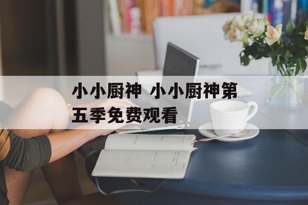 小小厨神 小小厨神第五季免费观看-第1张图片-