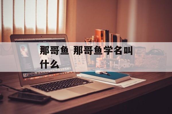 那哥鱼 那哥鱼学名叫什么-第1张图片-