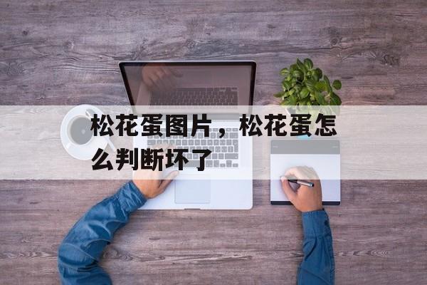 松花蛋图片，松花蛋怎么判断坏了-第1张图片-