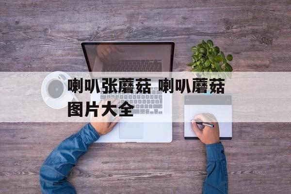 喇叭张蘑菇 喇叭蘑菇图片大全-第1张图片-