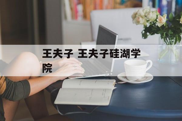王夫子 王夫子硅湖学院-第1张图片-