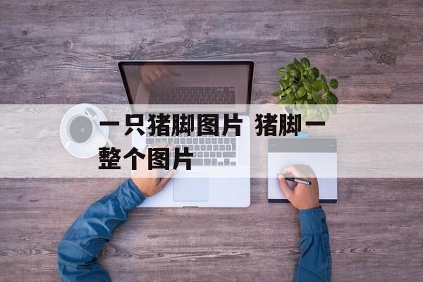 一只猪脚图片 猪脚一整个图片-第1张图片-
