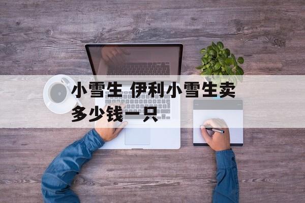 小雪生 伊利小雪生卖多少钱一只-第1张图片-