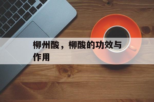 柳州酸，柳酸的功效与作用-第1张图片-