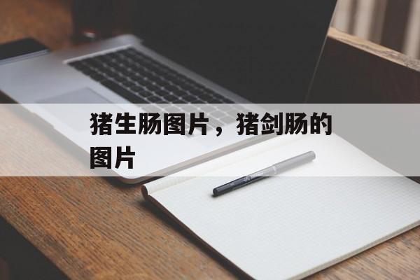 猪生肠图片，猪剑肠的图片-第1张图片-