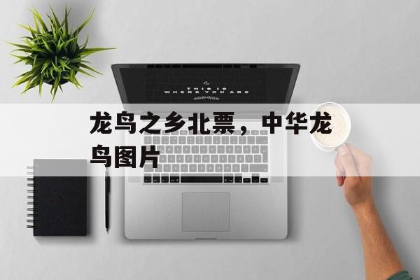 龙鸟之乡北票，中华龙鸟图片-第1张图片-