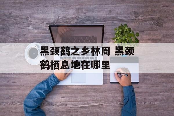 黑颈鹤之乡林周 黑颈鹤栖息地在哪里-第1张图片-