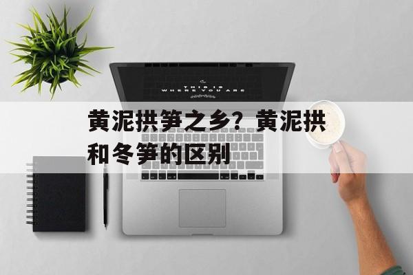 黄泥拱笋之乡？黄泥拱和冬笋的区别-第1张图片-