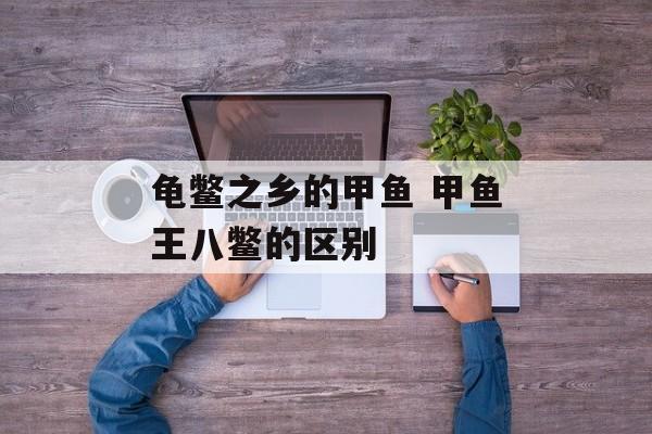 龟鳖之乡的甲鱼 甲鱼王八鳖的区别-第1张图片-