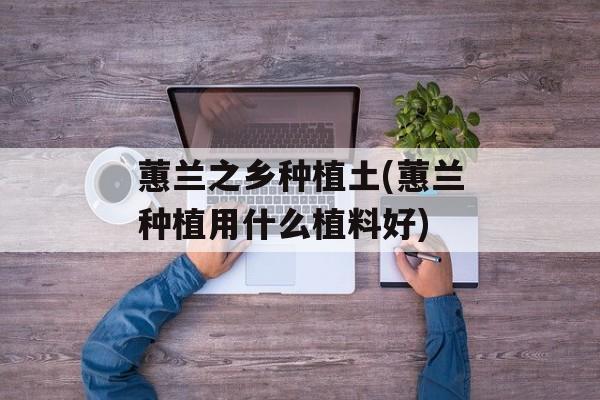 蕙兰之乡种植土(蕙兰种植用什么植料好)-第1张图片-