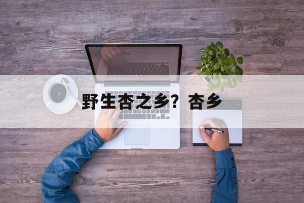 野生杏之乡？杏乡-第1张图片-
