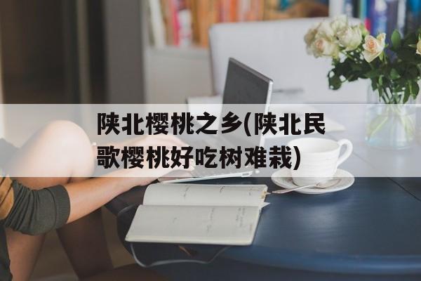 陕北樱桃之乡(陕北民歌樱桃好吃树难栽)-第1张图片-