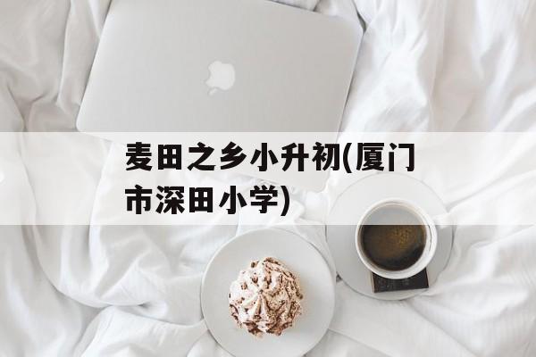 麦田之乡小升初(厦门市深田小学)-第1张图片-