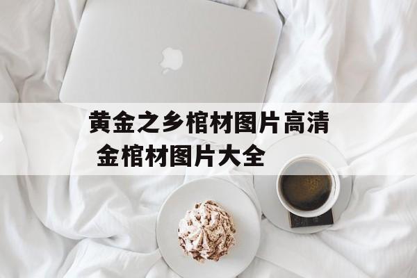 黄金之乡棺材图片高清 金棺材图片大全-第1张图片-