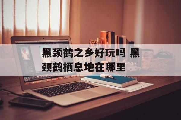 黑颈鹤之乡好玩吗 黑颈鹤栖息地在哪里-第1张图片-