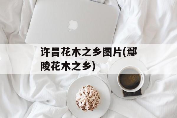 许昌花木之乡图片(鄢陵花木之乡)-第1张图片-