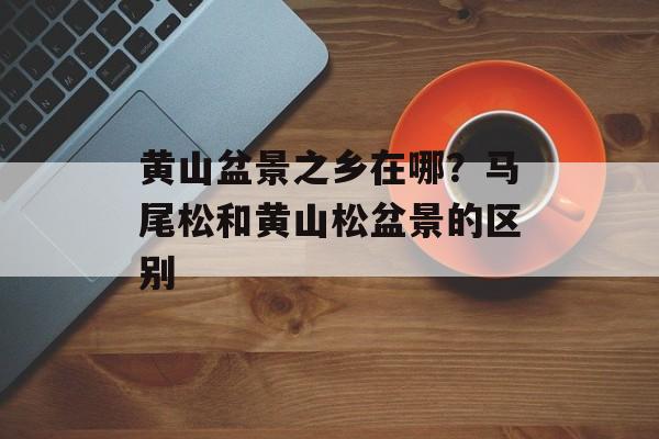 黄山盆景之乡在哪？马尾松和黄山松盆景的区别-第1张图片-