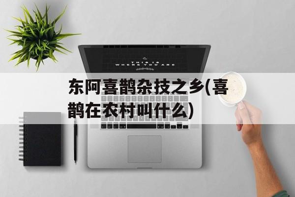 东阿喜鹊杂技之乡(喜鹊在农村叫什么)-第1张图片-