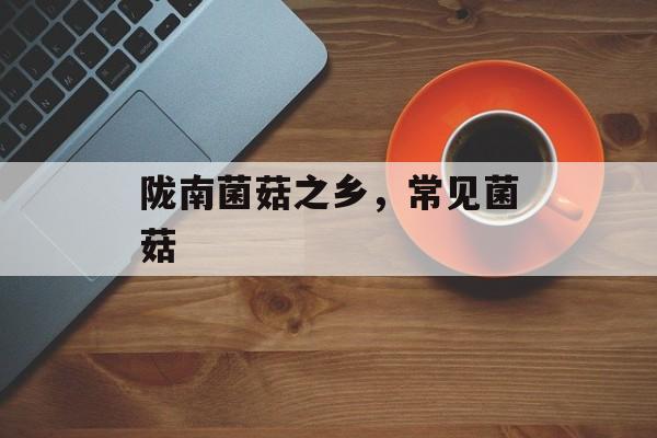陇南菌菇之乡，常见菌菇-第1张图片-