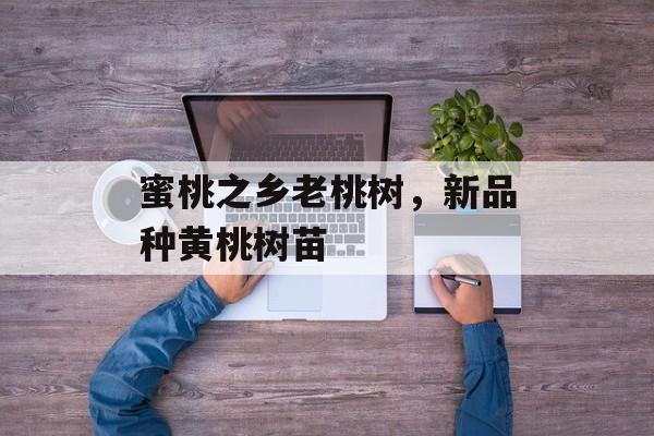 蜜桃之乡老桃树，新品种黄桃树苗-第1张图片-
