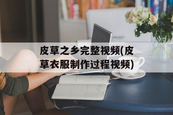皮草之乡完整视频(皮草衣服制作过程视频)-第1张图片-