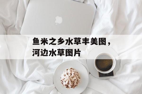 鱼米之乡水草丰美图，河边水草图片-第1张图片-