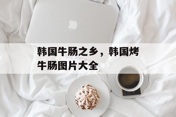 韩国牛肠之乡，韩国烤牛肠图片大全-第1张图片-
