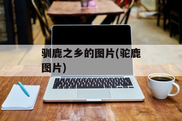 驯鹿之乡的图片(驼鹿图片)-第1张图片-