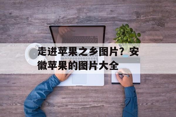 走进苹果之乡图片？安徽苹果的图片大全-第1张图片-