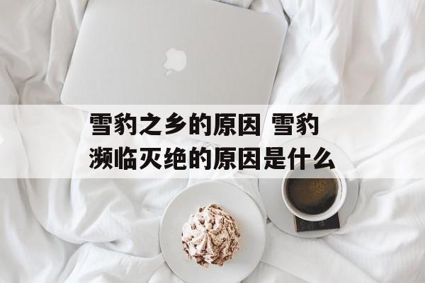 雪豹之乡的原因 雪豹濒临灭绝的原因是什么-第1张图片-