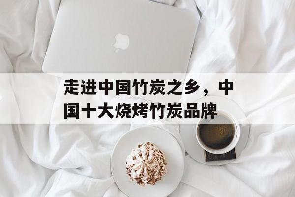 走进中国竹炭之乡，中国十大烧烤竹炭品牌-第1张图片-