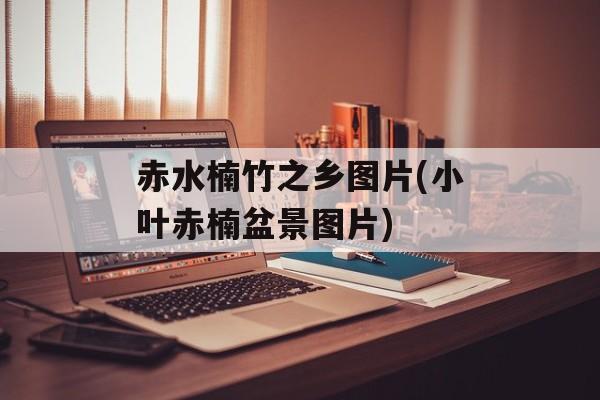 赤水楠竹之乡图片(小叶赤楠盆景图片)-第1张图片-