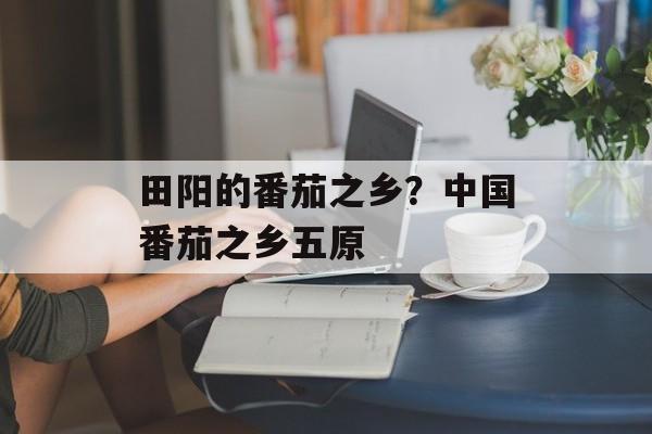 田阳的番茄之乡？中国番茄之乡五原-第1张图片-
