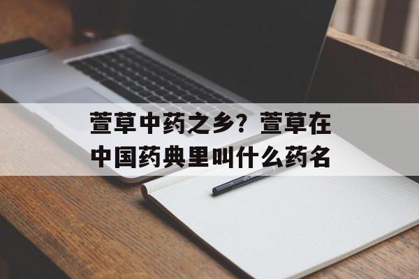 萱草中药之乡？萱草在中国药典里叫什么药名-第1张图片-