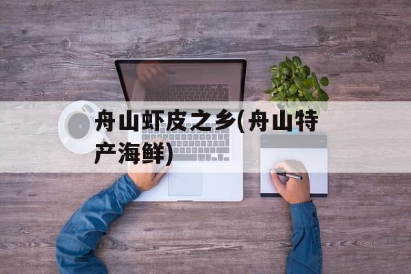 舟山虾皮之乡(舟山特产海鲜)-第1张图片-