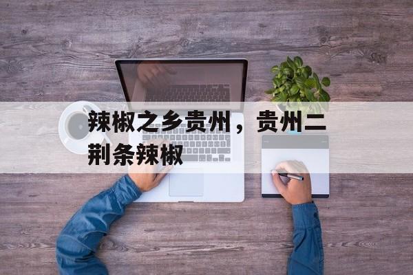 辣椒之乡贵州，贵州二荆条辣椒-第1张图片-