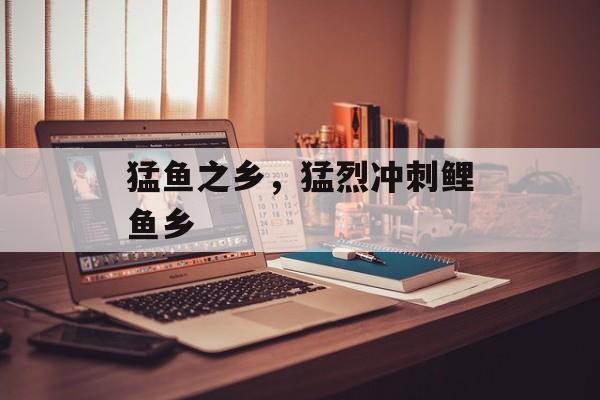猛鱼之乡，猛烈冲刺鲤鱼乡-第1张图片-
