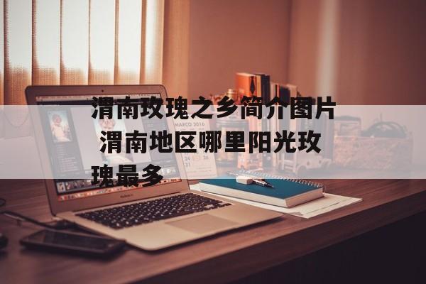 渭南玫瑰之乡简介图片 渭南地区哪里阳光玫瑰最多-第1张图片-