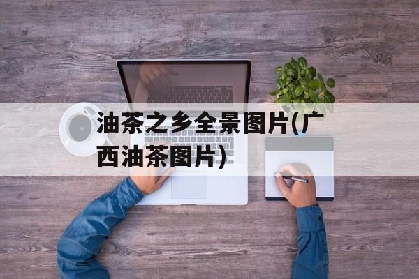 油茶之乡全景图片(广西油茶图片)-第1张图片-