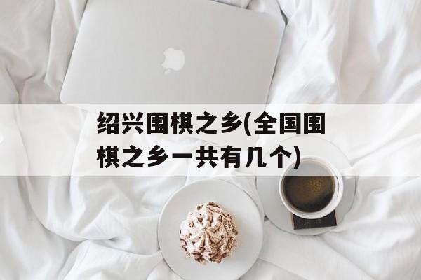 绍兴围棋之乡(全国围棋之乡一共有几个)-第1张图片-