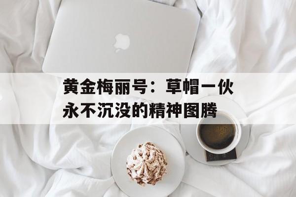 黄金梅丽号：草帽一伙永不沉没的精神图腾-第1张图片-