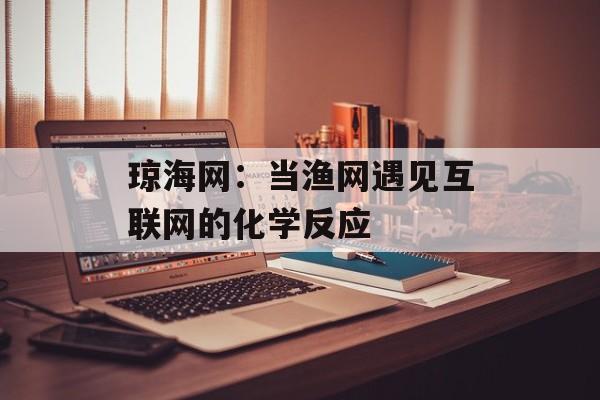 琼海网：当渔网遇见互联网的化学反应-第1张图片-
